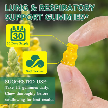 Mullein Gummies - Mullein Leaf Extract for Lungs, 2000mg Mullein Gummies for Lungs Detox, Respiratory Digestive Immune Support, 60 Count