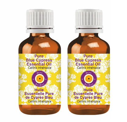 dève herbes Blue Cypress Essential Oil (Callitris intratropica) – 15ml x 2