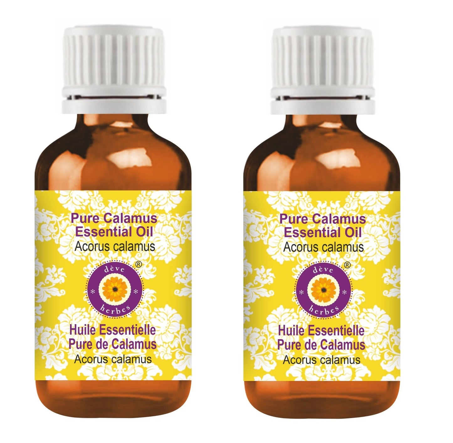 dève herbes Calamus Essential Oil 15ml | Pure Acorus Calamus | Steam Distilled