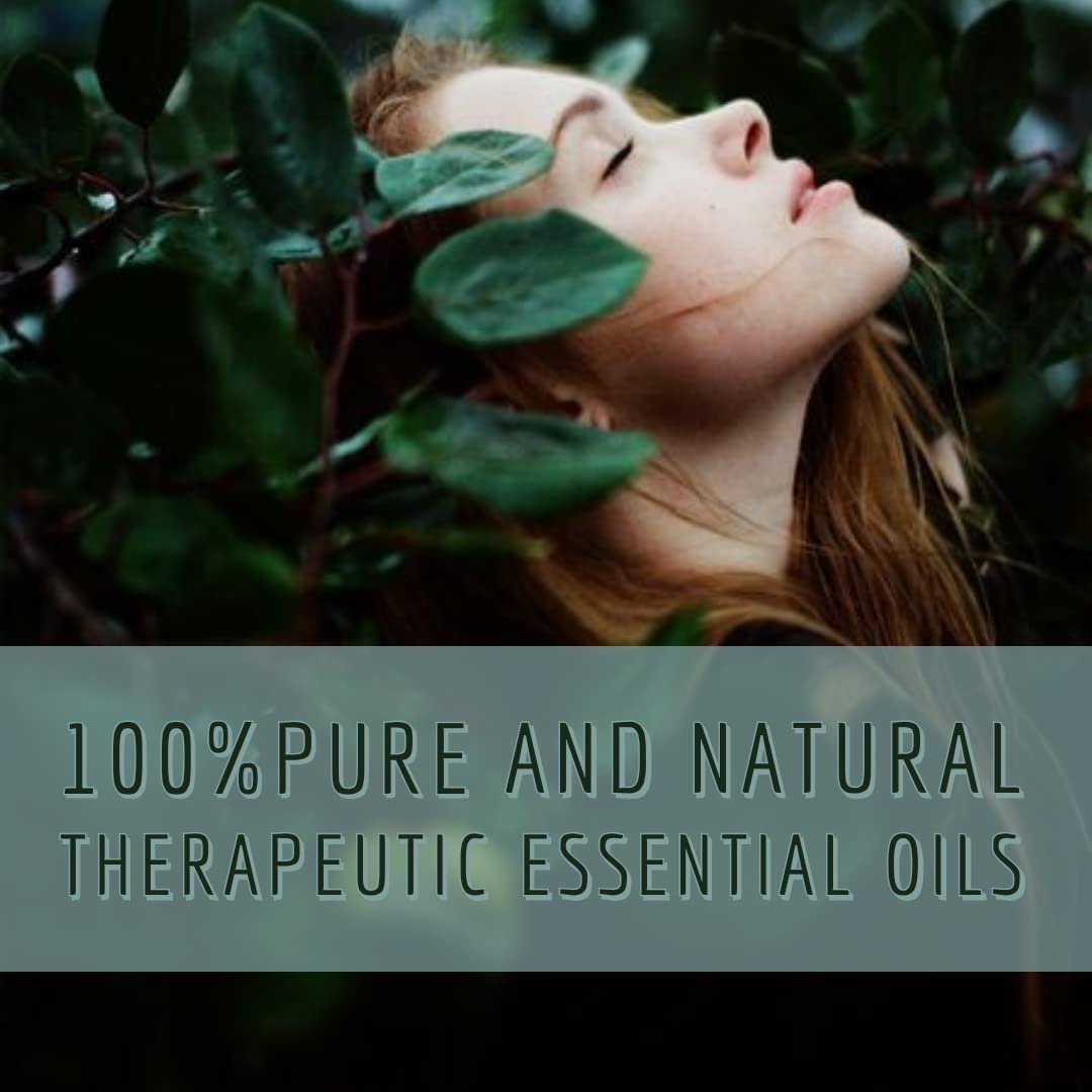 dève herbes Calamus Essential Oil 15ml | Pure Acorus Calamus | Steam Distilled