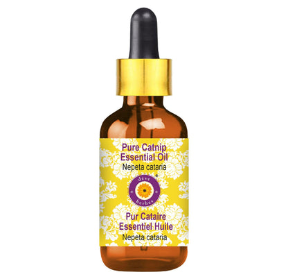 dève herbes Catnip Essential Oil (Nepeta cataria) 5ml with Glass Dropper – Pure & Steam Distilled