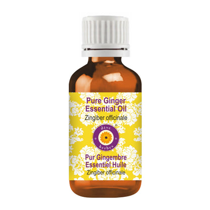 Deve Herbes Pure Ginger Essential Oil (Zingiber officinale) Steam Distilled 15ml (0.50 oz)