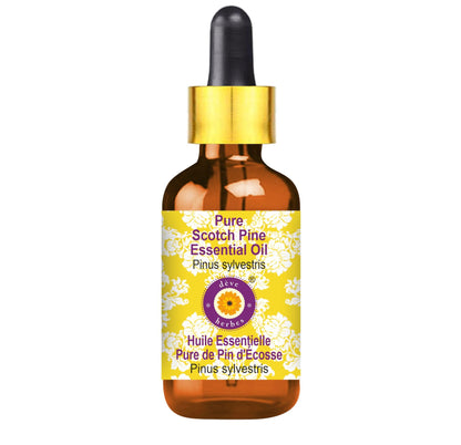 Deve Herbes Pure Scotch Pine Essential Oil (Pinus sylvestris) - Steam Distilled, 5ml with Glass Dropper