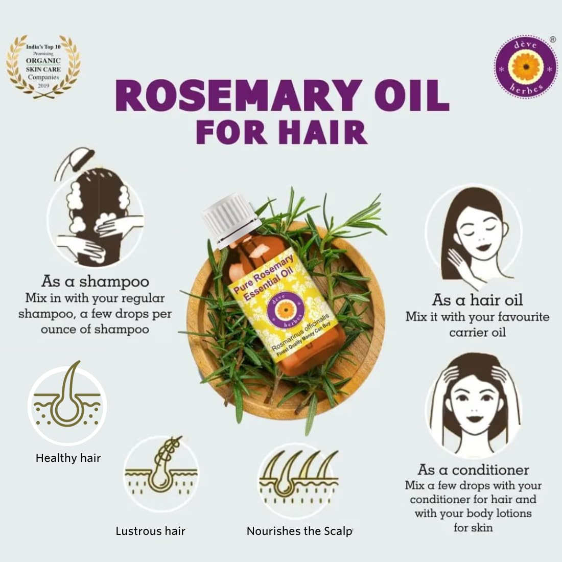 Deve Herbes Pure Rosemary Essential Oil - Steam Distilled 15ml (0.5 oz) | Rosmarinus officinalis