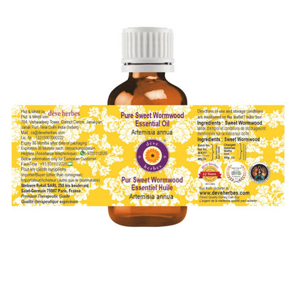 dève herbes Sweet Wormwood Essential Oil (Artemisia annua) – Pure, Steam Distilled 30ml (1 oz) for All Skin Types