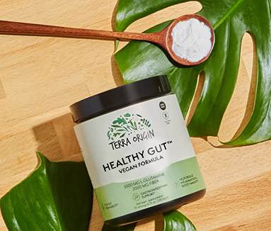 Healthy Gut Vegan Formula with L-Glutamine – Supports Gut Health & Immunity