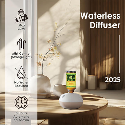Rechargeable Waterless Oil Diffuser – 2 Mist Modes, 6 Essential Oils Starter Kit (Home, Car, Office)