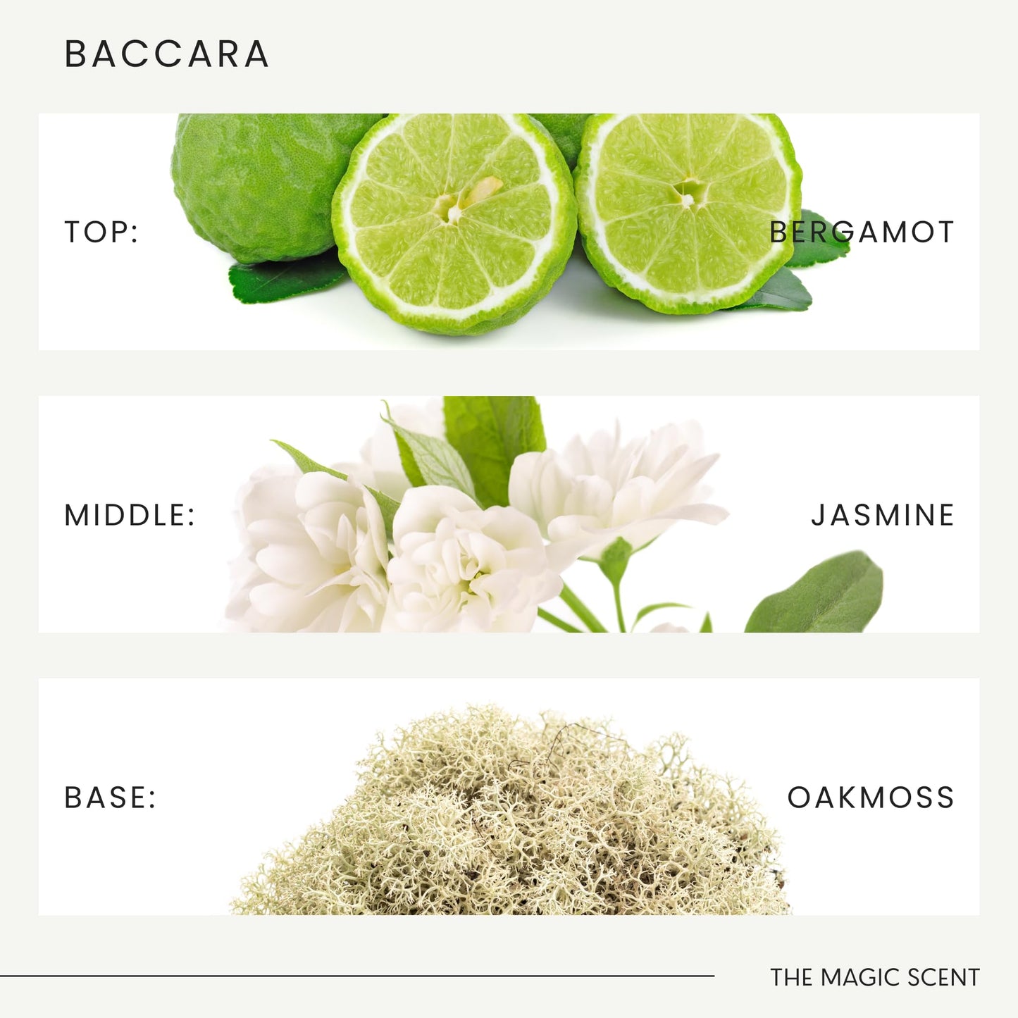 The Magic Scent Baccara Diffuser Oil – Luxury Hotel & Home Scents Inspired by Baccarat Rouge (8.5 fl oz / 250 mL)