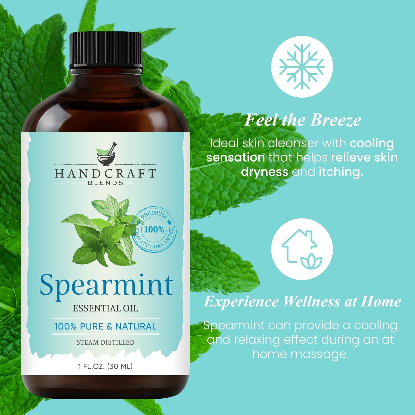 Handcraft Blends Spearmint Essential Oil - 1 oz - 100% Pure & Natural, Premium Grade