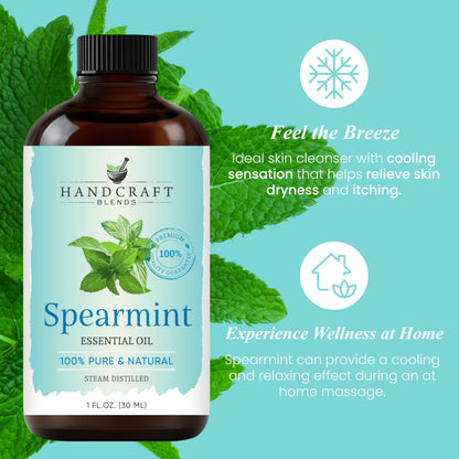 Handcraft Blends Spearmint Essential Oil - 1 oz - 100% Pure & Natural, Premium Grade