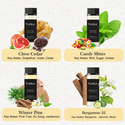 Hotel Luxury Waterless Diffuser Set – 10x20mL Essential Oils (My Way, Mysterious, Oud Wood, Bergamot)
