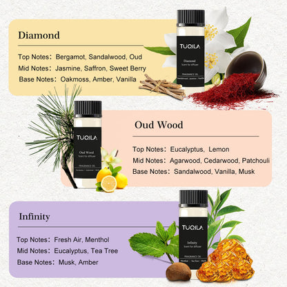 Hotel Luxury Waterless Diffuser Set – 10x20mL Essential Oils (My Way, Mysterious, Oud Wood, Bergamot)