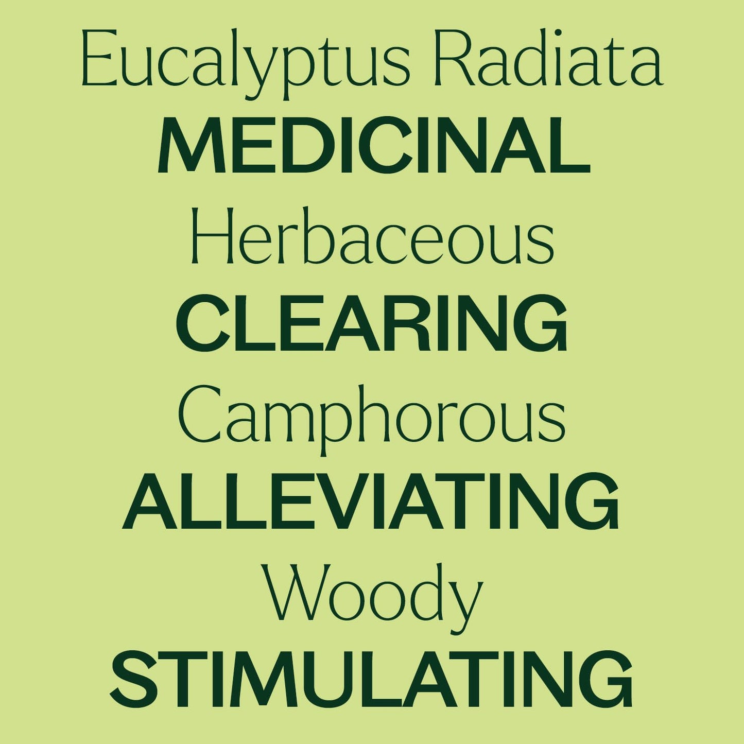 Plant Therapy Eucalyptus Radiata Essential Oil 30 mL (1 oz) - 100% Pure