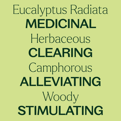 Plant Therapy Eucalyptus Radiata Essential Oil 30 mL (1 oz) - 100% Pure