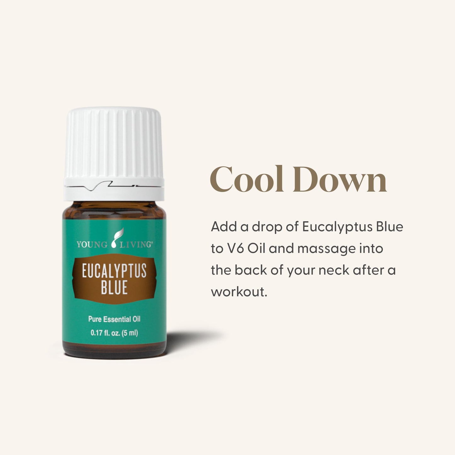 Young Living Eucalyptus Blue Essential Oil – 5 ml | Pure Botanical Extract for Diffusers & Aromatherapy