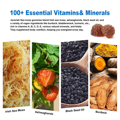 Vegan Ashwagandha Sea Moss Gummies - 60 Count | Immune Support, Digestive Health & 13-in-1 Bundle