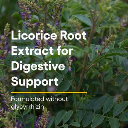Natural Factors DGL Chewable - Digestive Support with Licorice Root, 90 Servings, Non-GMO & Gluten-Free