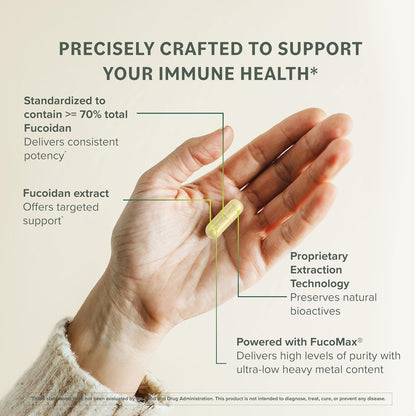 Prominent Nutrition Fucoidan – Gut Health & Immune Support, 250mg, 60 Count | Premium Brown Seaweed Extract