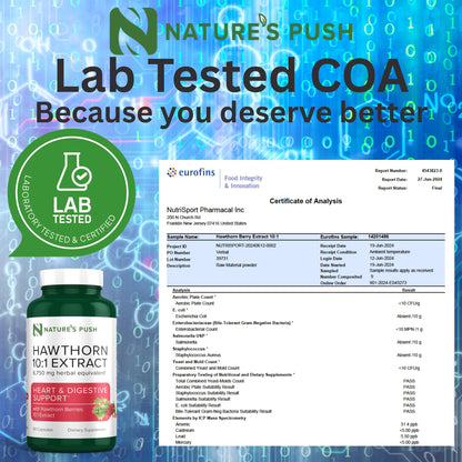 Super Potent Hawthorn Berry 10:1 Extract Capsules – Heart Health, Digestion & Glycemic Support | Non-GMO, Gluten Free, Vegan • USA (60 Count)