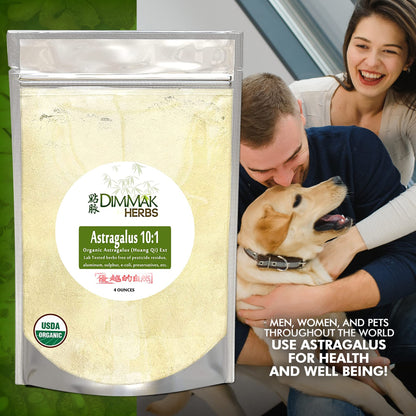 Dimmak Organic Astragalus 10:1 Extract Powder – Huang Qi 4oz (112g) | USDA Organic