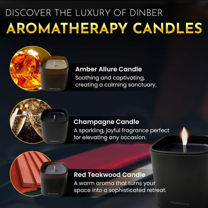 DinBer Candle Gift Set – 3 Scented Soy Candles (50+ hrs each) | Amber Allure, Red Teakwood & Champagne – Flower-Inspired Scents