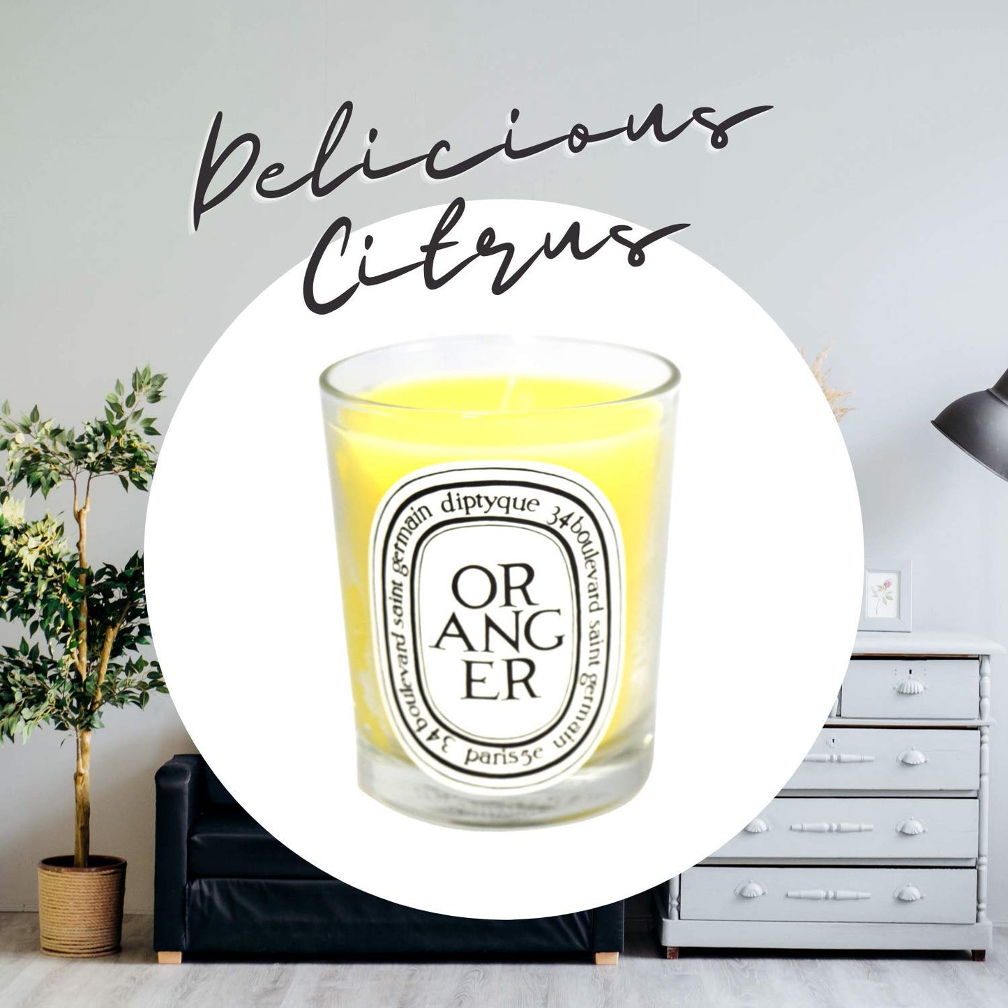 Diptyque Oranger Scented Candle – 6.5 oz | Unisex Luxury Home Fragrance | Diptyque Paris