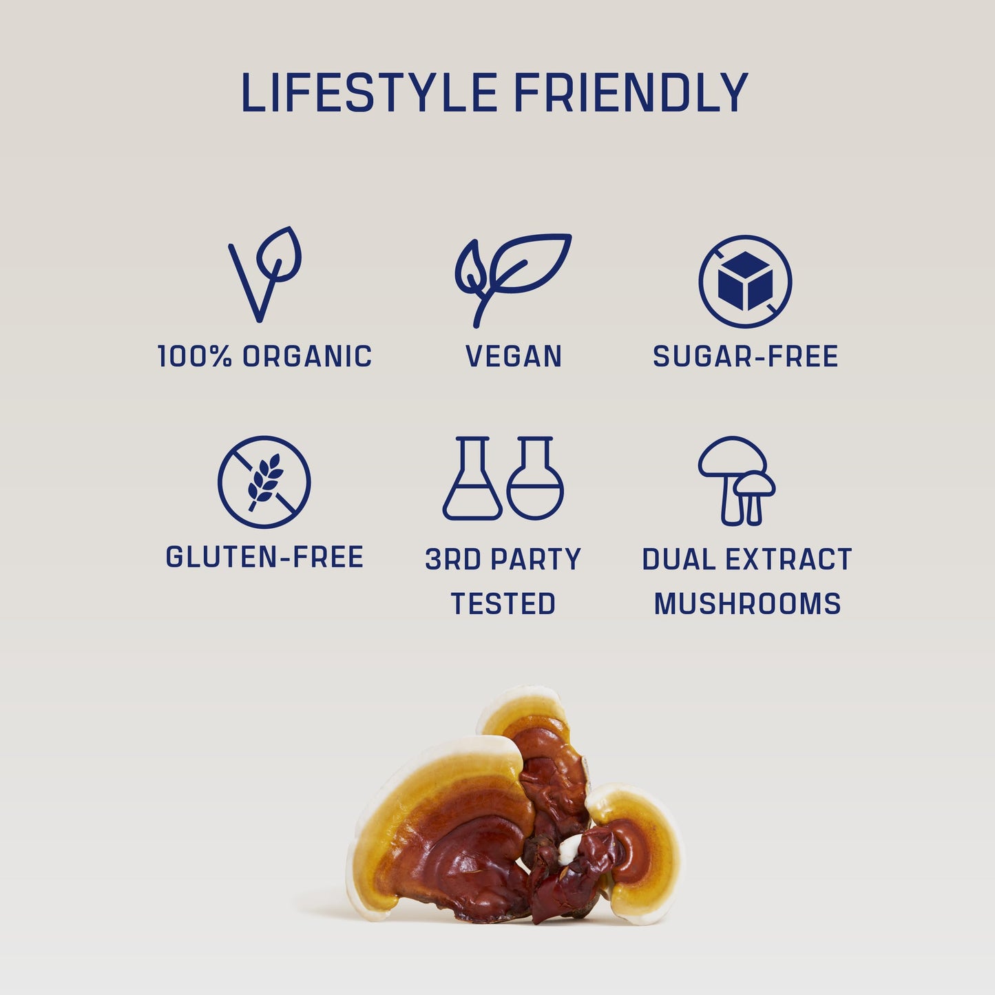 DIRTEA Reishi Mushroom Powder - 60g | 2,000mg per Serving | Organic, Vegan & Non-GMO | Sleep, Immune & Stress Support