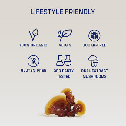 DIRTEA Reishi Mushroom Powder - 60g | 2,000mg per Serving | Organic, Vegan & Non-GMO | Sleep, Immune & Stress Support