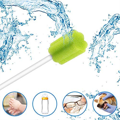 Disposable Untreated Oral Care Swabs, 250 Count (Green + Plum)