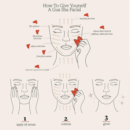 Ditind Gua Sha – Stainless Steel Gua Sha Tool for Facial & Body Spa