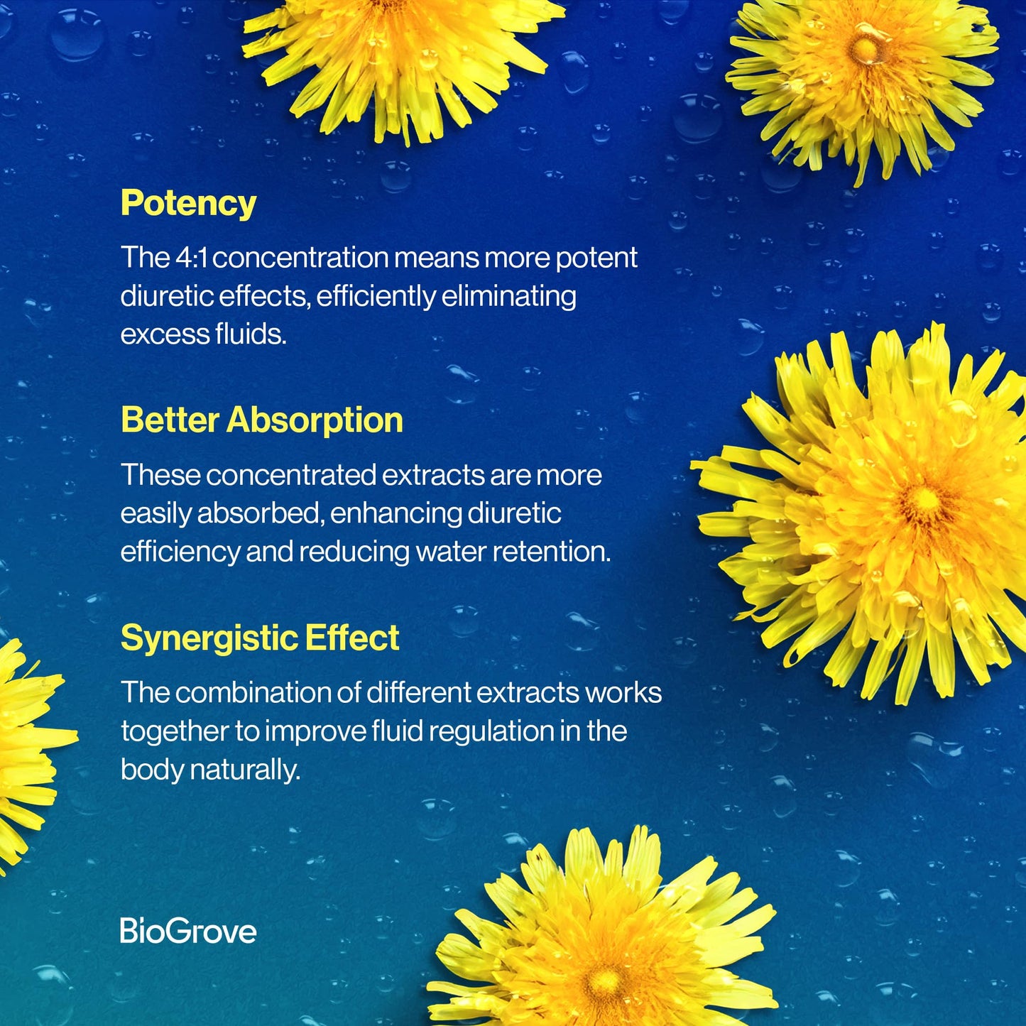Water Pills for Swollen Feet & Legs – Easy-to-Swallow, Fast-Acting | Diulite