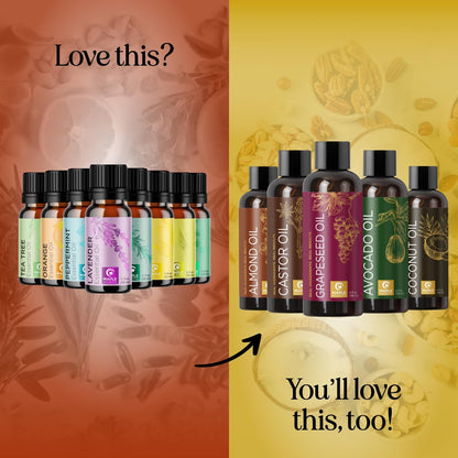 Pure Essential Oil Diffuser Set – Aromatherapy Oils for Home, Travel & Self-Care