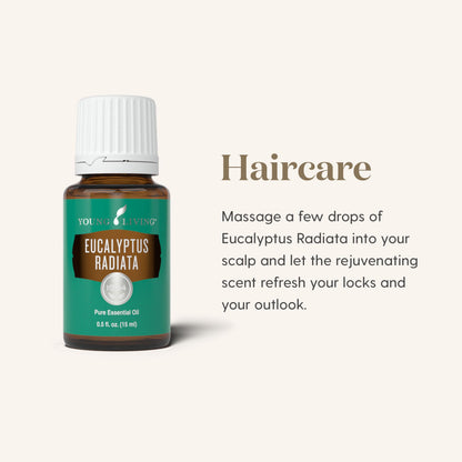 Eucalyptus Radiata Essential Oil 15ml by Young Living Essential Oils