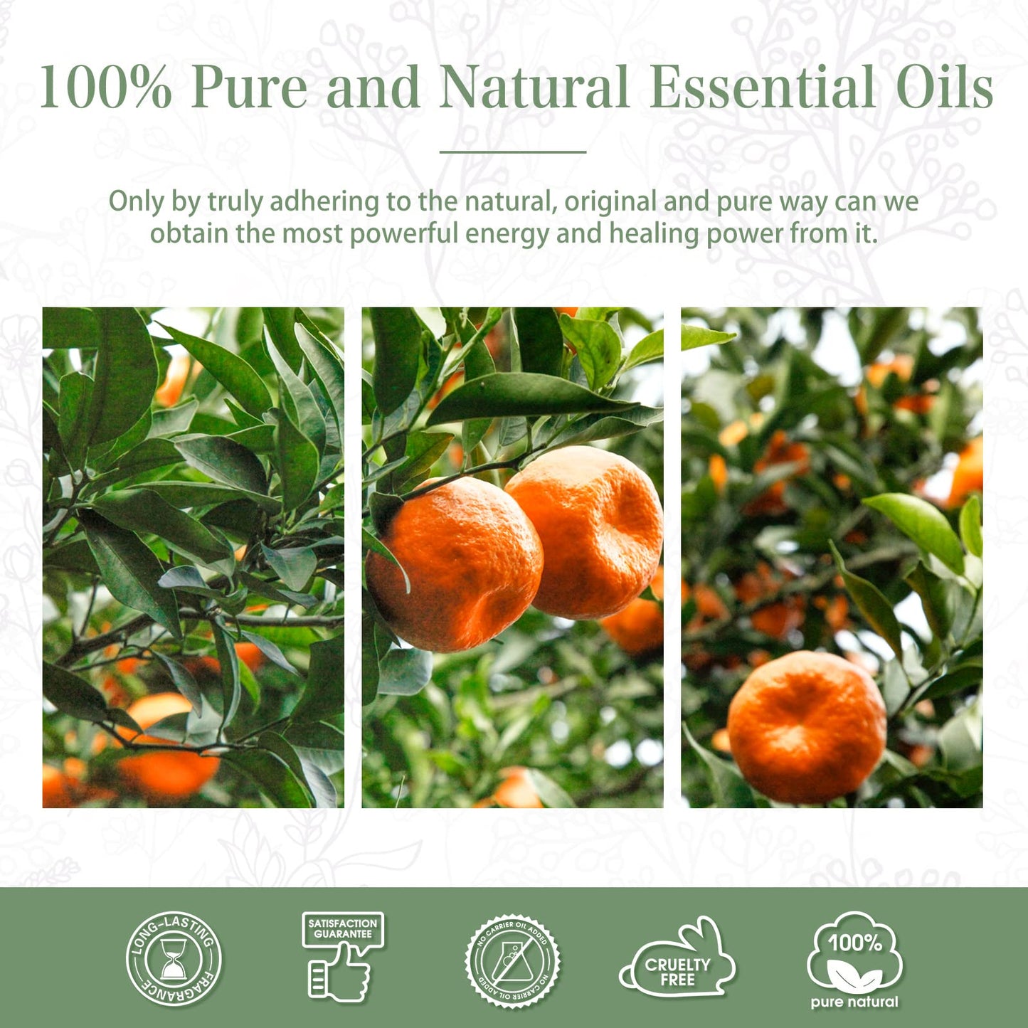 PHATOIL Tangerine Essential Oil 100ml – Aromatherapy, Diffusers, Candles & Soaps