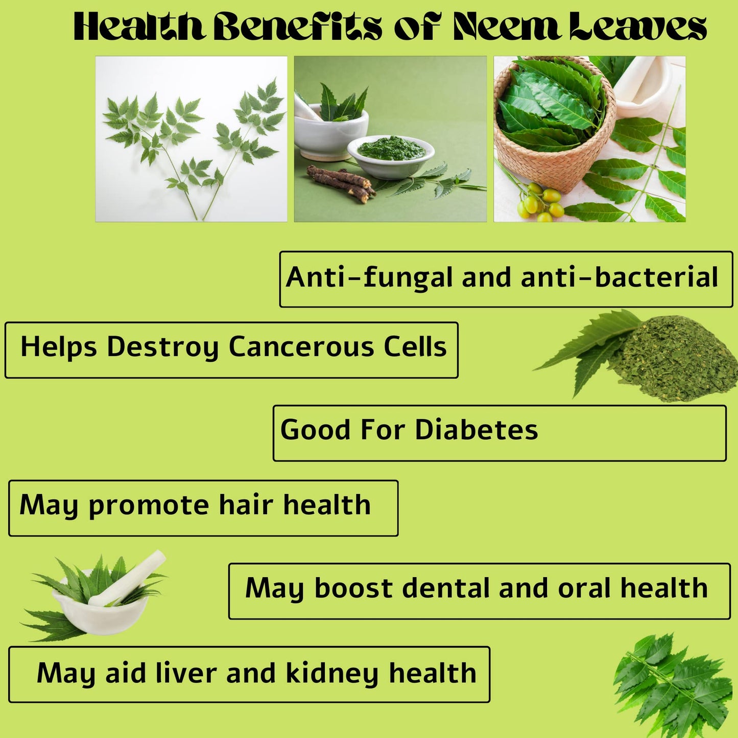 Diyon's Dried Neem Leaves - 0.3 oz/10 g, 100% Natural, Sri Lanka