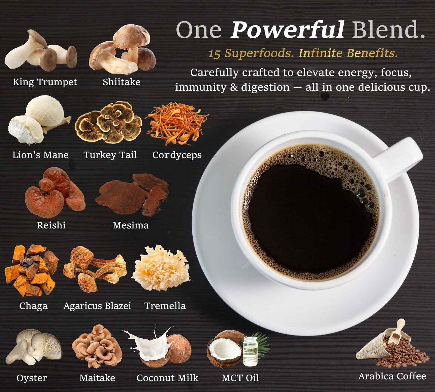 DLNIA Organic Mushroom Coffee with 12 Adaptogenic Mushrooms - Cordyceps, Lion's Mane & Turkey Tail