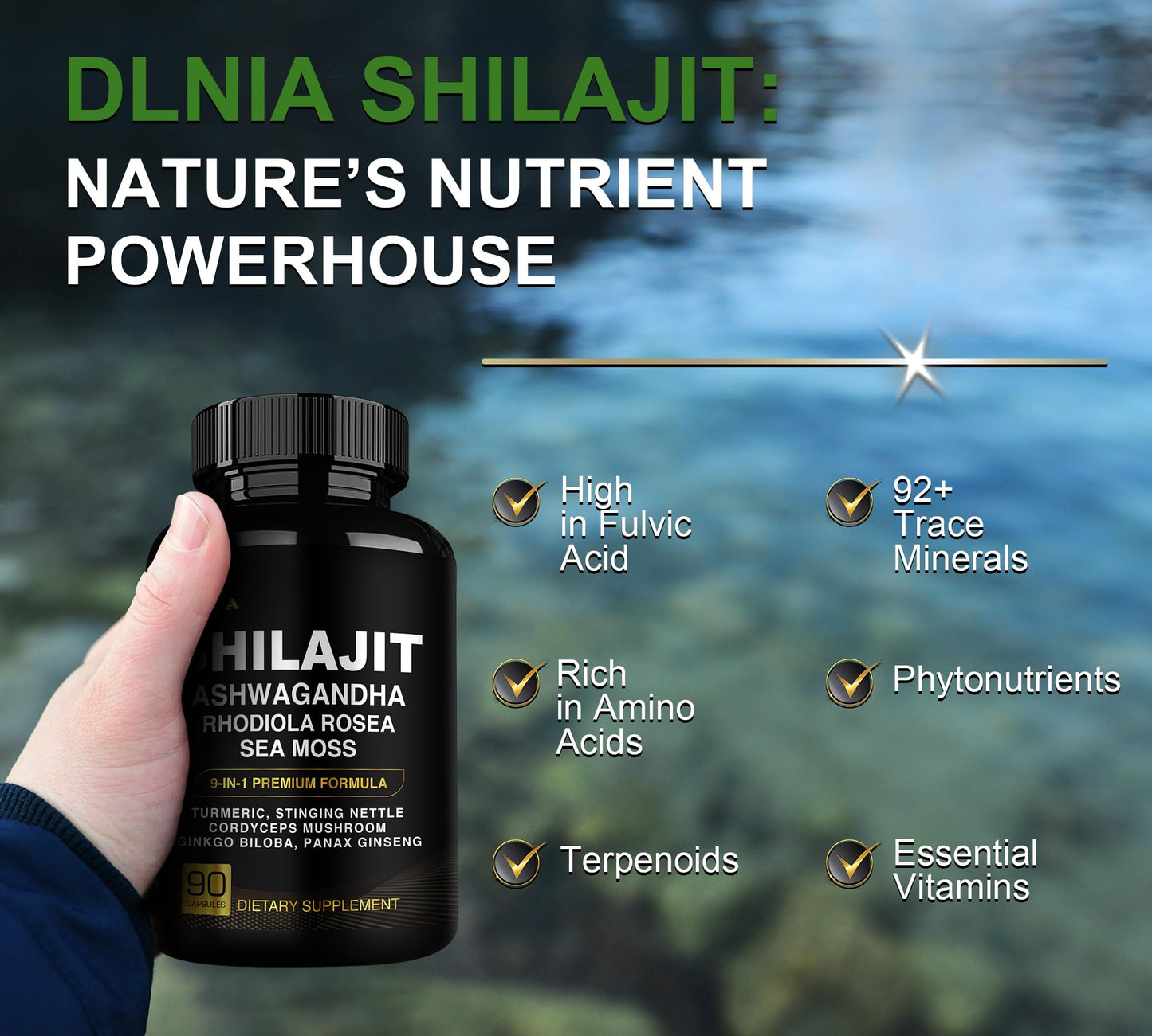 DLNIA Shilajit 9-in-1 Capsules – Organic Himalayan Complex (Ashwagandha, Sea Moss, Turmeric) – Vegan, Lab-Tested – 90 Capsules