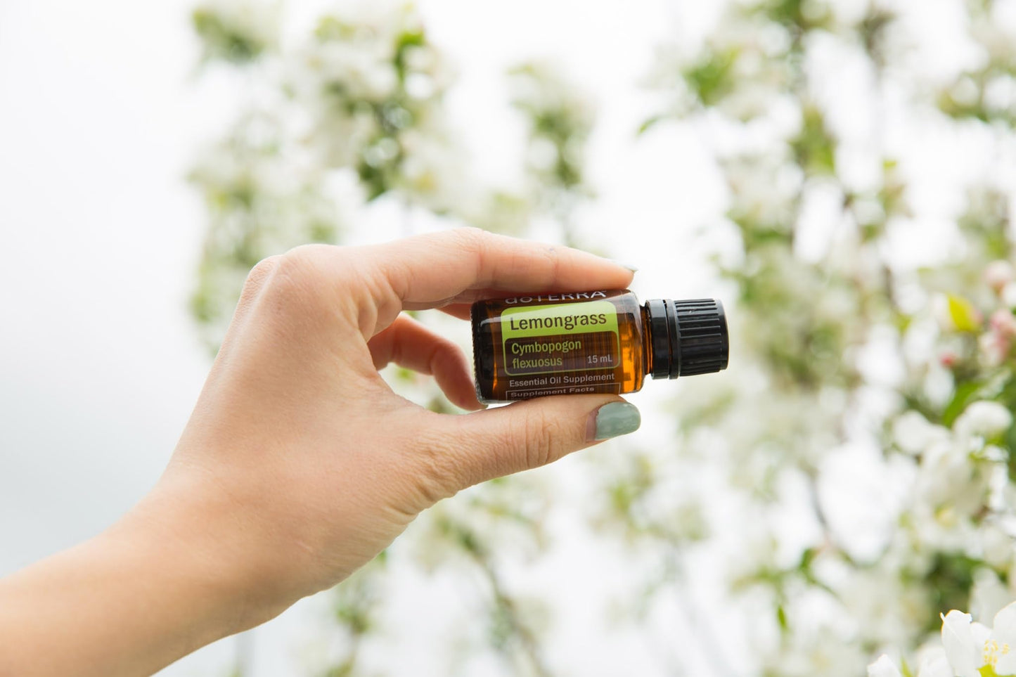 doTERRA Lemongrass Essential Oil 15 mL – Purifying & Uplifting