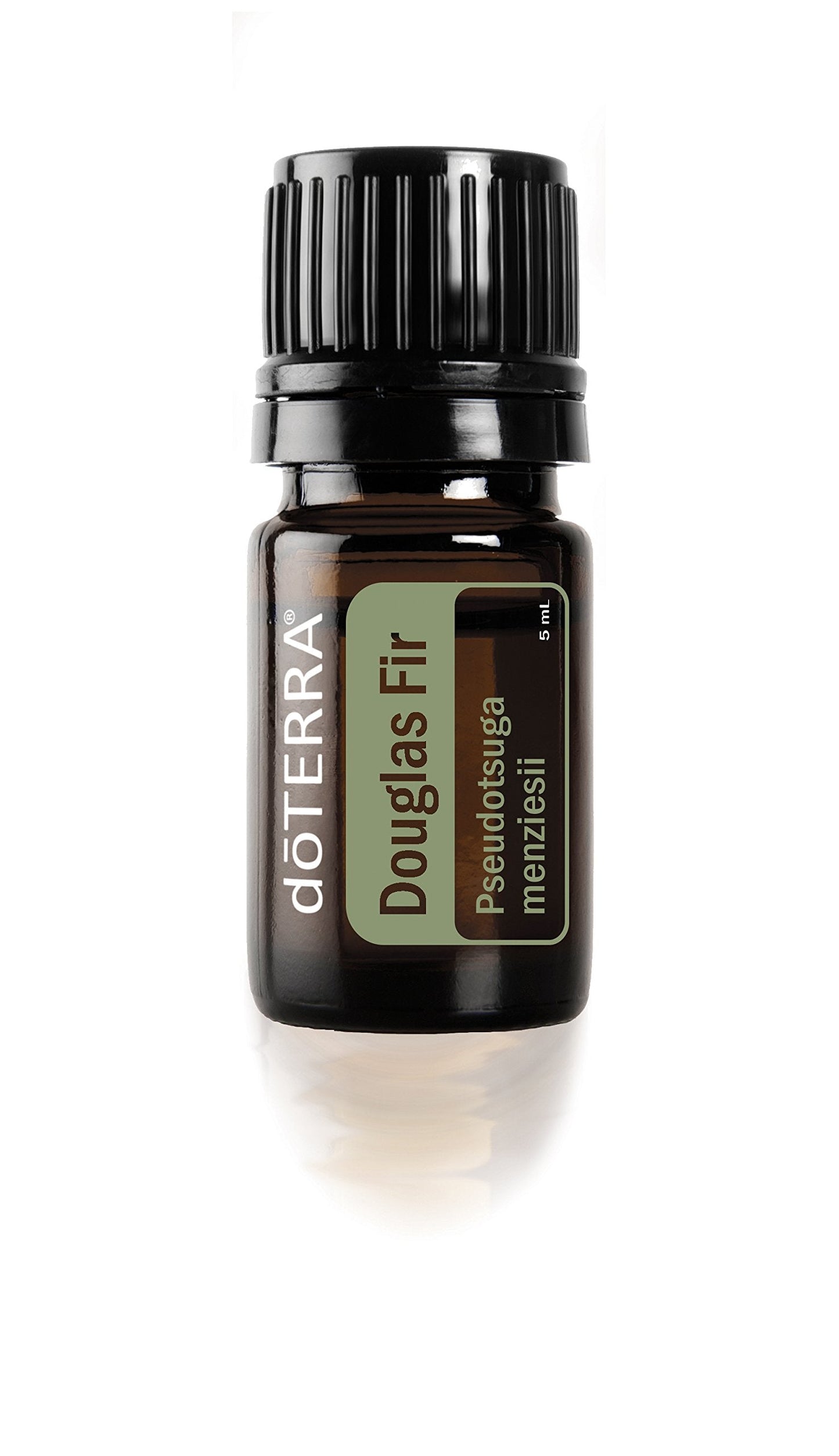 doTERRA Douglas Fir Essential Oil - 5 ml | Purifying, Mood-Boosting & Clear Airways