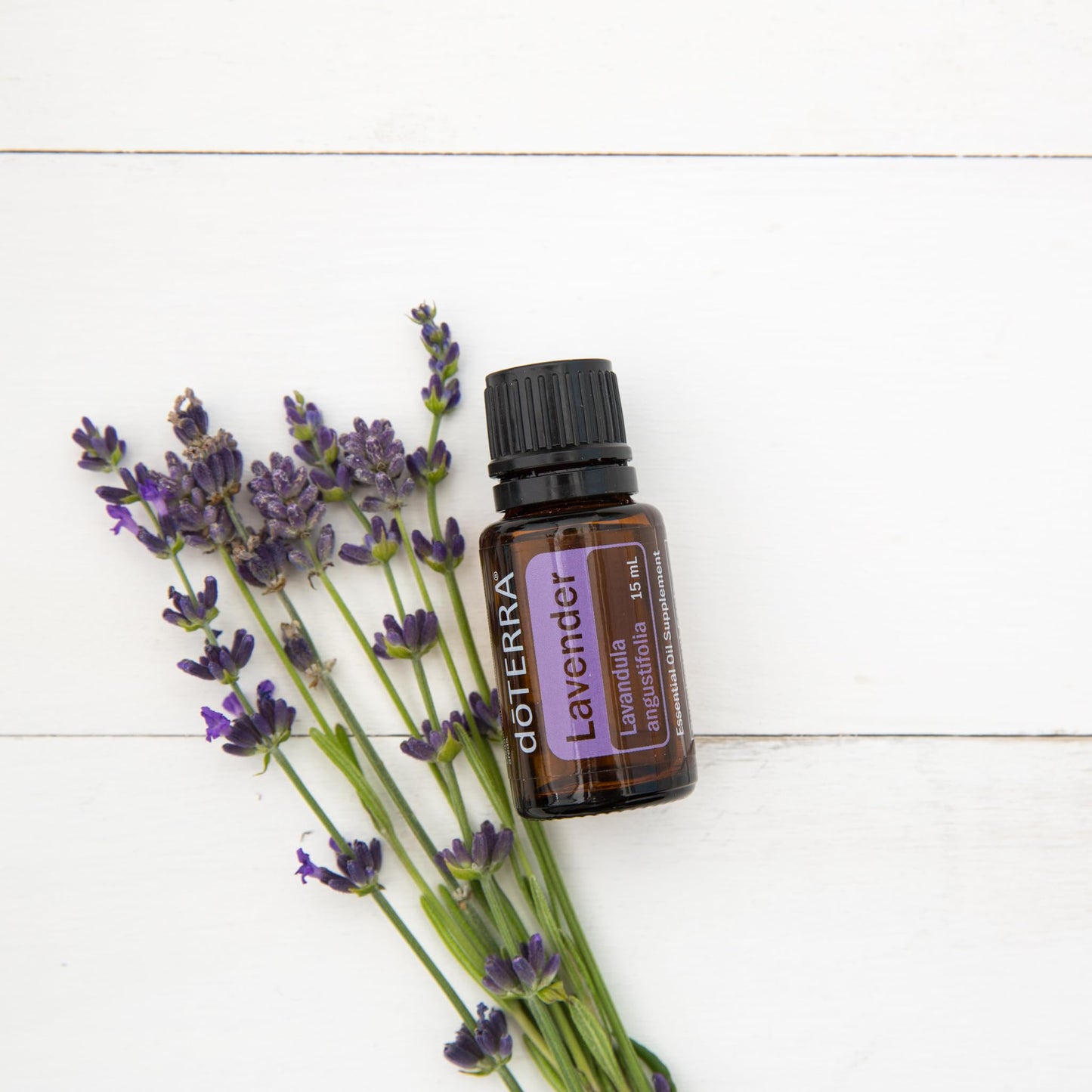 doTERRA Lavender Essential Oil - 15 ml | Calming Aromatherapy