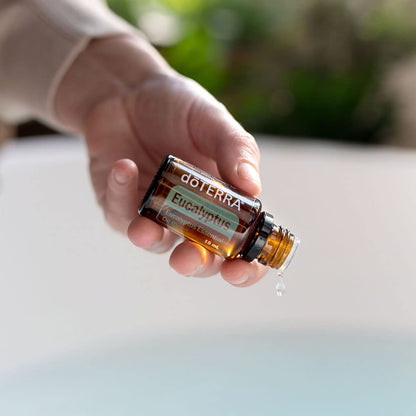 doTERRA Eucalyptus Radiata Essential Oil - 15 mL | Clear Breathing