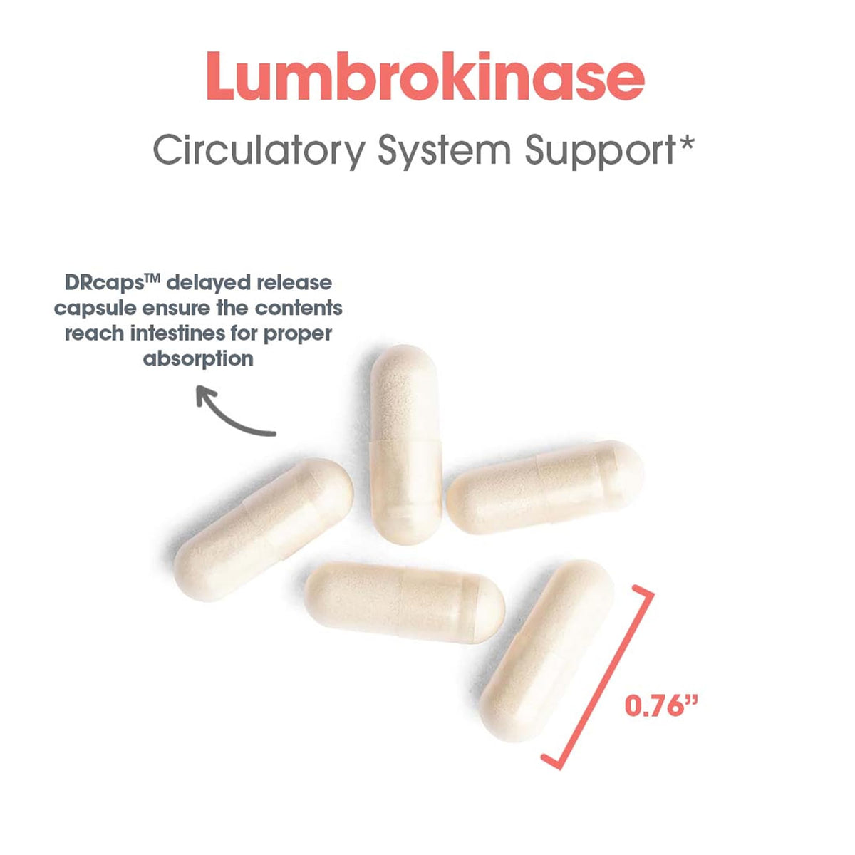 ARG Lumbrokinase Circulatory System Support – Delayed-Release Enzyme Supplement | Allergy Research Group BritishVita | Premium UK Vitamins & Wellness Supplements