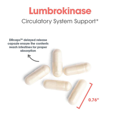 ARG Lumbrokinase Circulatory System Support – Delayed-Release Enzyme Supplement | Allergy Research Group BritishVita | Premium UK Vitamins & Wellness Supplements