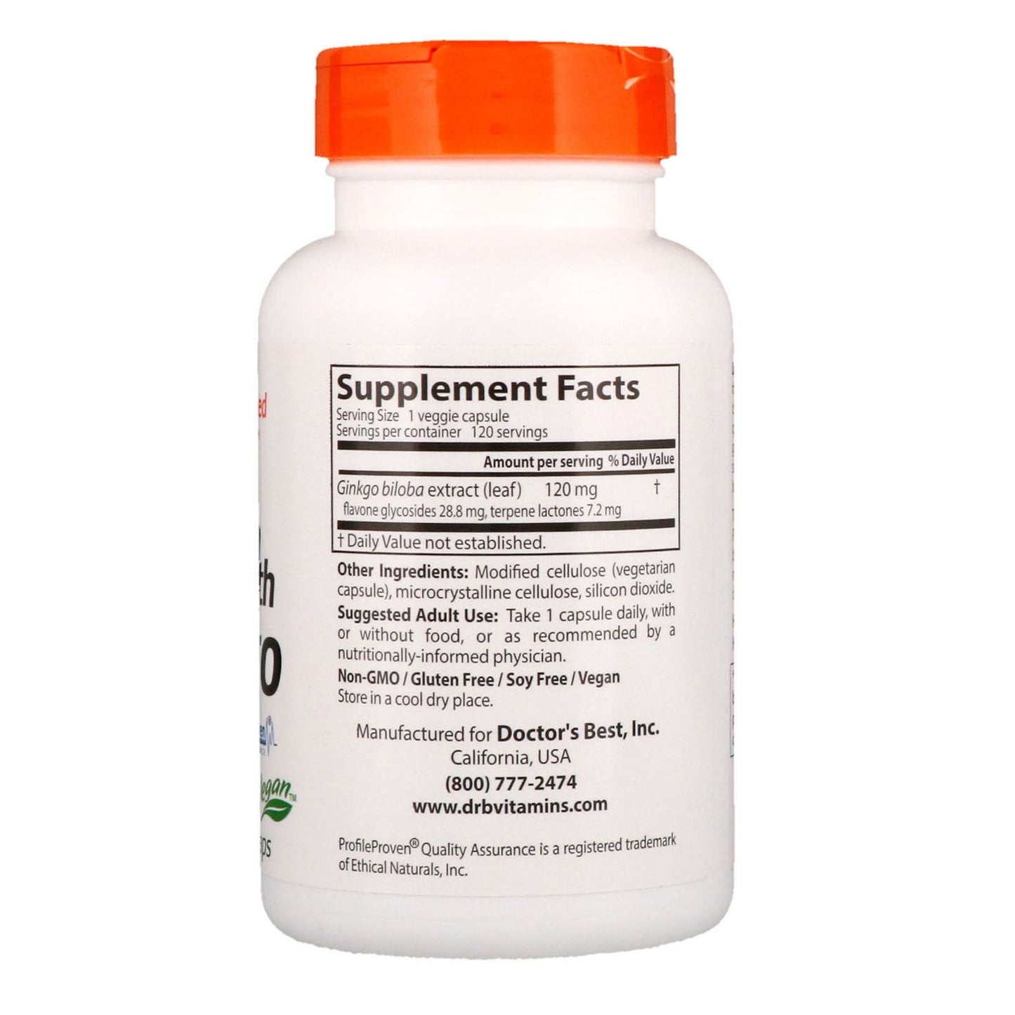 Doctor's Best Extra Strength Ginkgo 120 mg – Pack of 2, 120 Veggie Caps