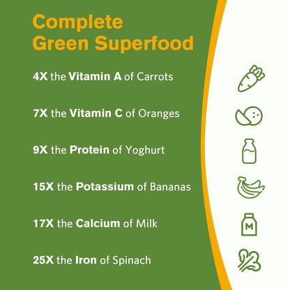 Doctor's Recipes Moringa 11,000 mg – Complete Green Superfood, Non-GMO, 60 Vegan Caps