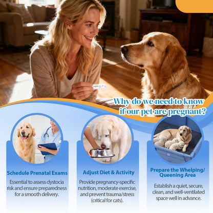 Dog & Cat Pregnancy Test Kit — At-Home Urine Test, 5-10 Min Results, 99% Accuracy