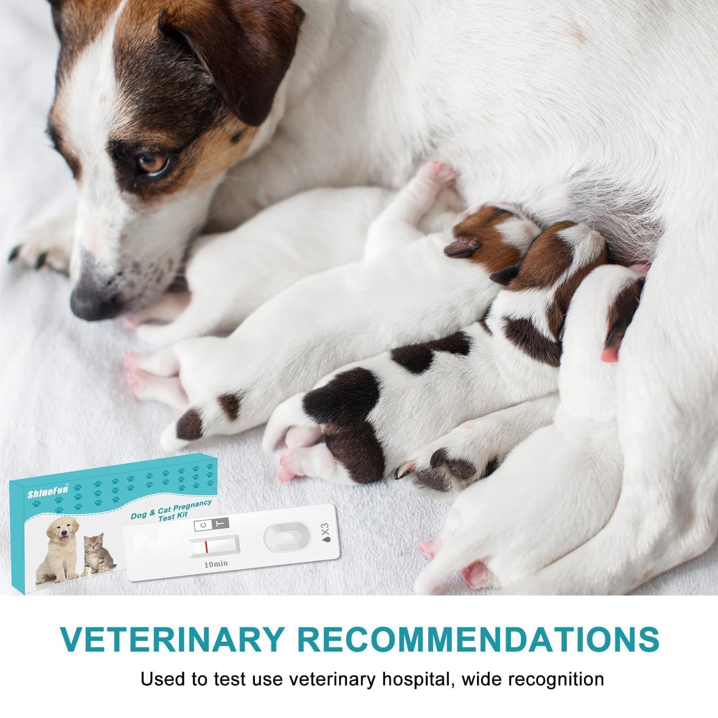 Dog & Cat Pregnancy Test Kit at Home — Urine-Based, 98.8% Accurate, 10-Minute Results