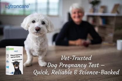 Dog Pregnancy Test Kit at Home- 5-Min Results, Painless & Clean (No Blood Draw), 99% Accurate for Breeders & Owners