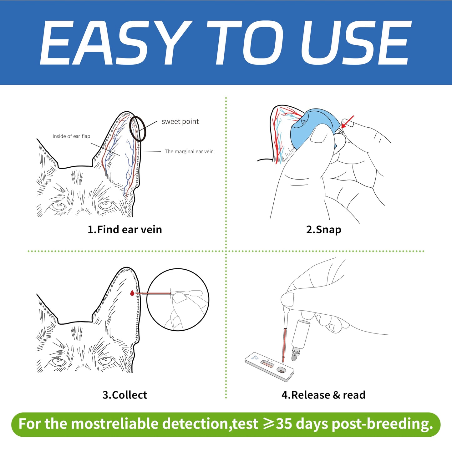 Dog Pregnancy Test Kit at Home- 5-Min Results, Painless & Clean (No Blood Draw), 99% Accurate for Breeders & Owners