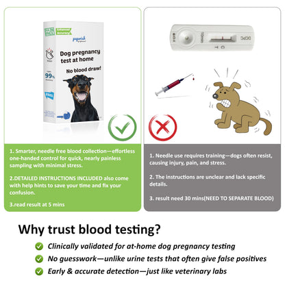 Dog Pregnancy Test Kit at Home- 5-Min Results, Painless & Clean (No Blood Draw), 99% Accurate for Breeders & Owners